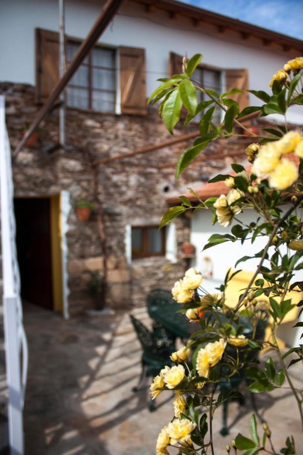 Apartment Casa Adalcina