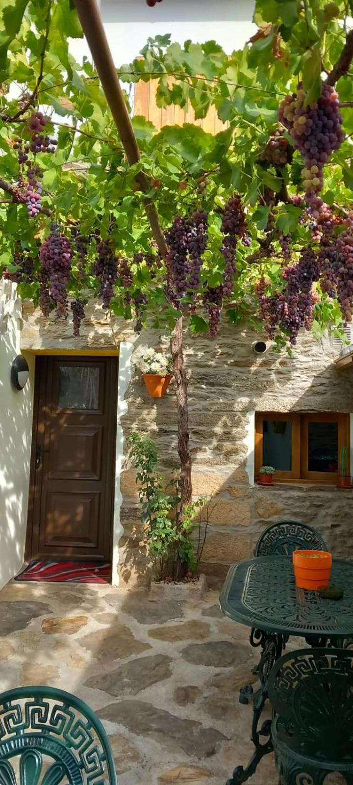 Casa Adalcina Mirandela